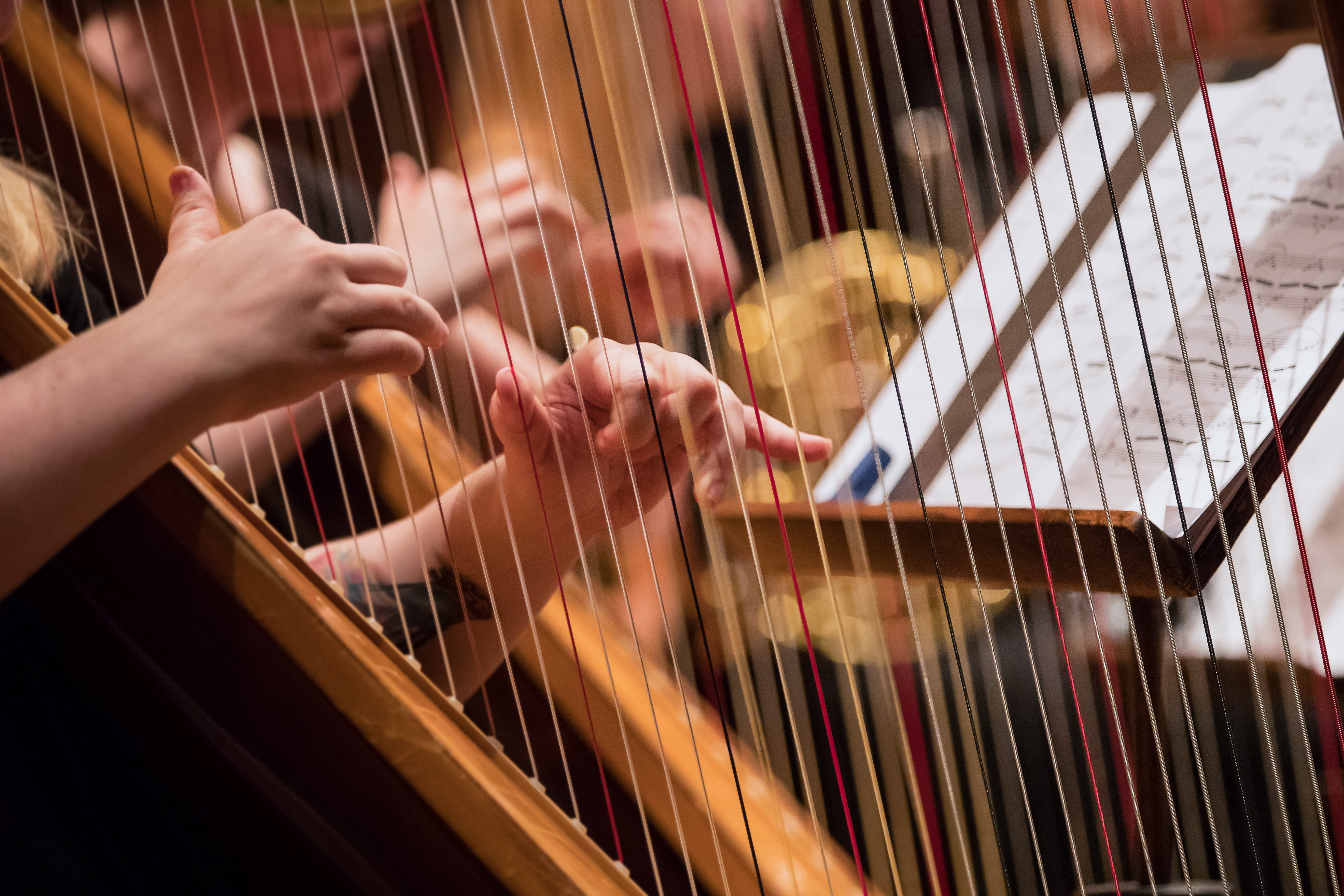 Meerpaal Live Lenteconcert