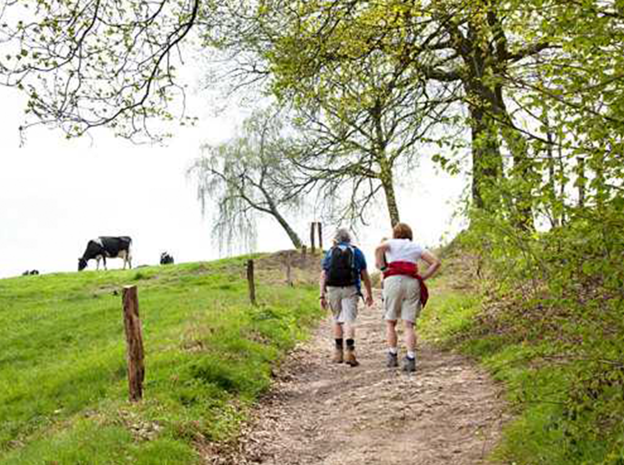 Wandelclub Dronten