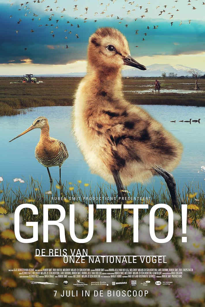 Grutto! De Reis van onze Nationale Vogel